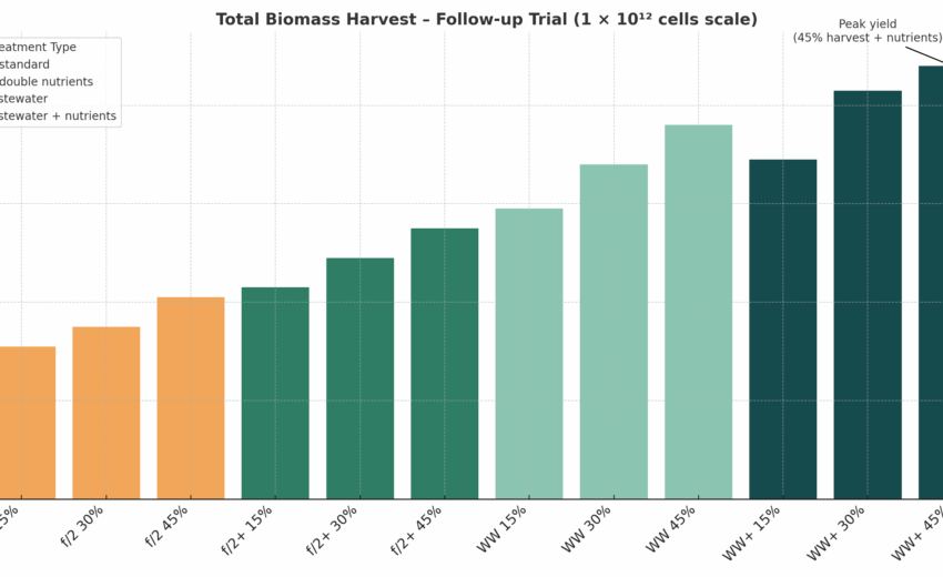 Boost Algae Yields & Compounds with Strategic Harvesting